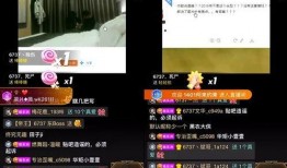 打球事件爆料视频,一场篮球对决引发的激烈争议