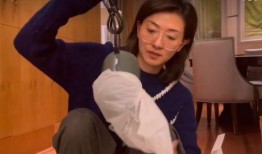 快乐王胖姐夫爆料视频大全,揭秘娱乐圈幕后故事